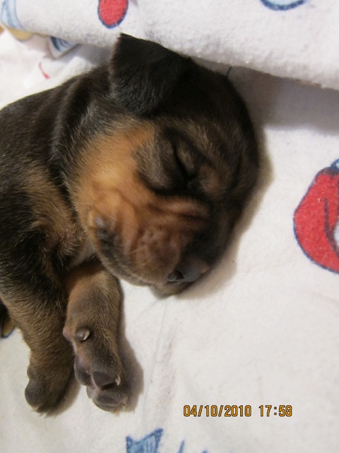 i z tego bedzie ogar??;&gt;... juz jest!! :)