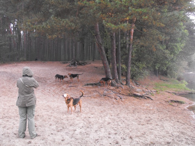 DSCF5005.JPG