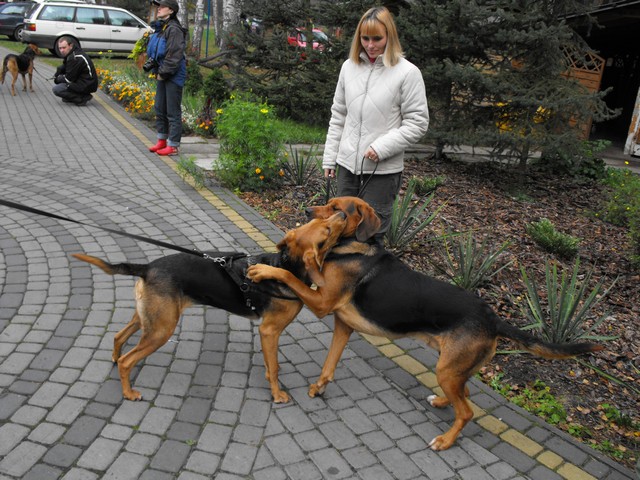DSCF5006.JPG
