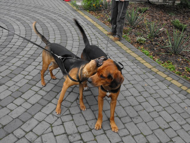 DSCF5007.JPG