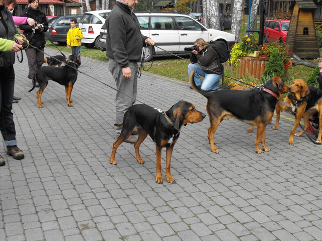 DSCF5016.JPG
