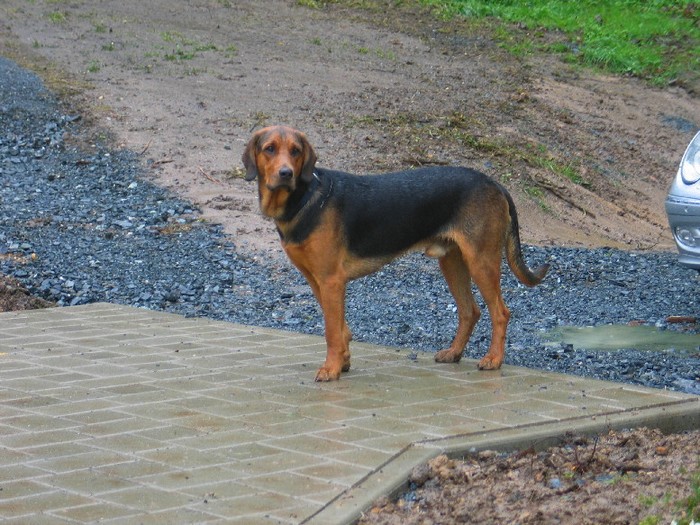 Kobryn