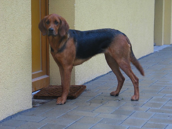 Kraska