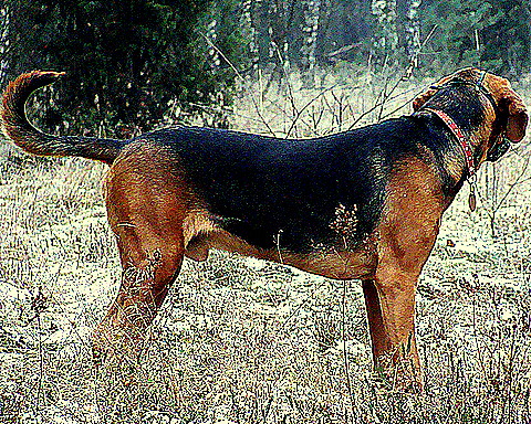 Obraz 083-3.jpg
