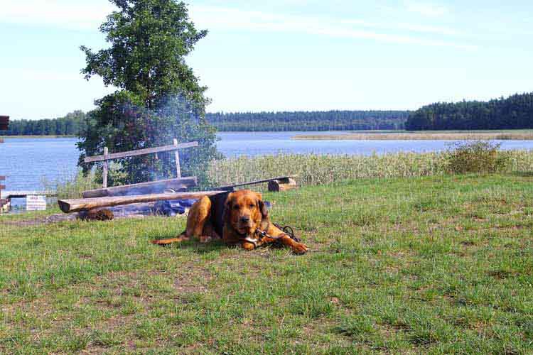 MOJEciekaweWIGRY_.jpg