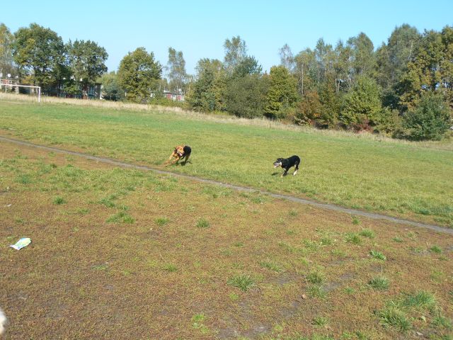 P1090086.jpg