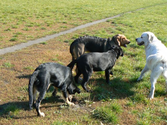 P1090079.jpg