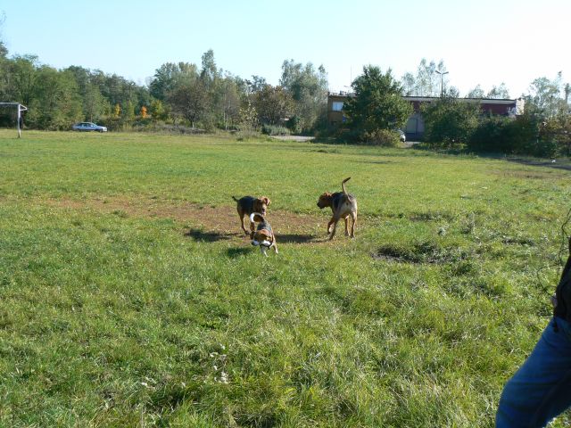 P1090139.jpg