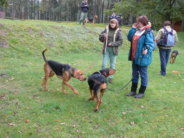 Zadra i Zenit.