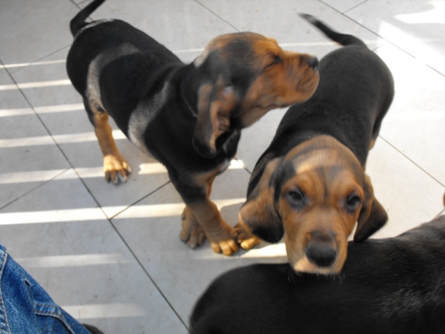 DSCF5074.JPG