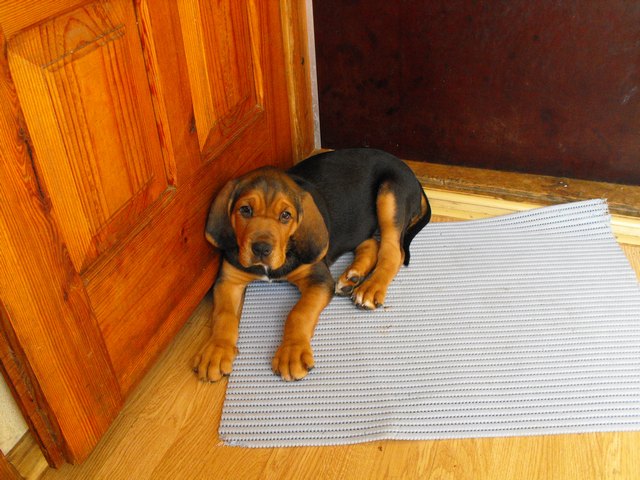 DSCF5088.JPG