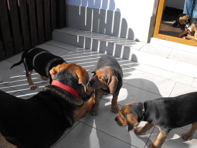 DSCF5095.JPG
