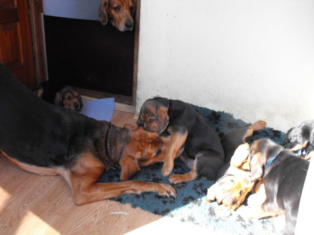 DSCF5100.JPG