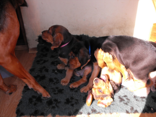 DSCF5101.JPG