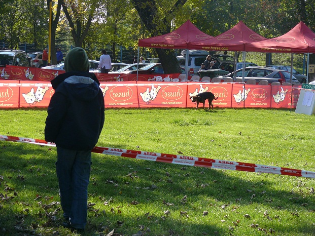 Aż do momentu, kiedy Sara stwierdziła, że ma dość. &quot;Gońcie mnie!&quot;