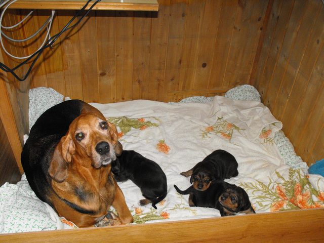 DSCF5197.JPG