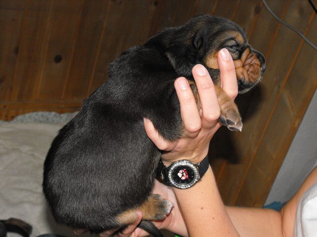 DSCF5202.JPG