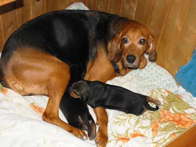 DSCF5207.JPG