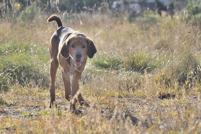 2010_10_13_4.jpg
