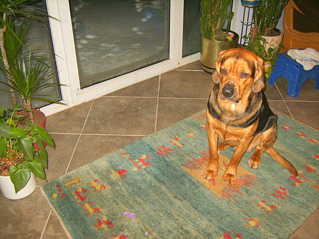 KUSY STYCZEN 2009 005.jpg