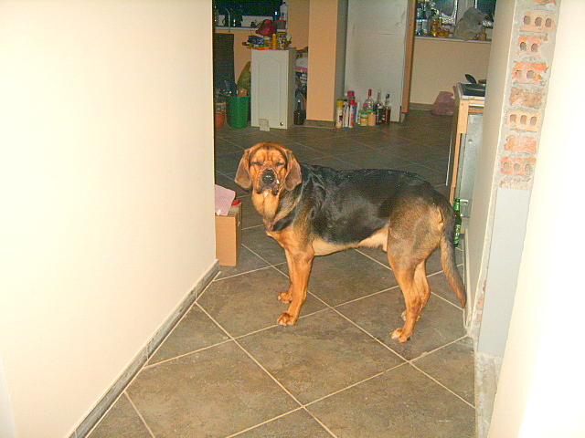 KUSY STYCZEN 2009 002.jpg