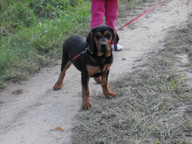 DSCF5319.JPG