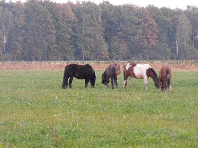 DSCF5372.JPG