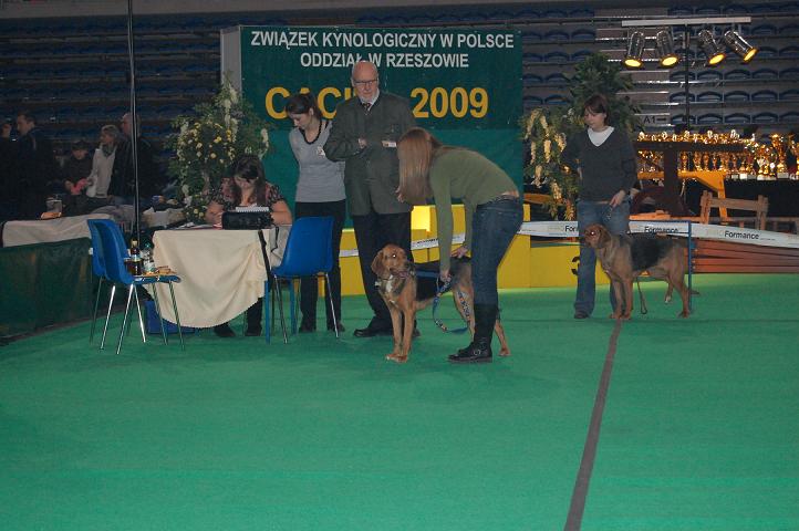 Ocena Kasji