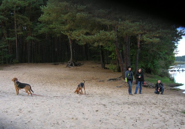 DSCN4673.JPG