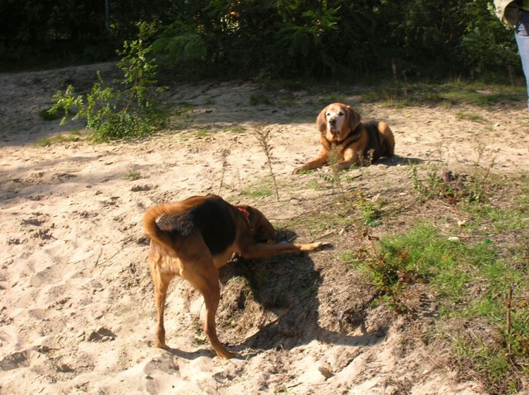 ...a Czata podrywa Świtka