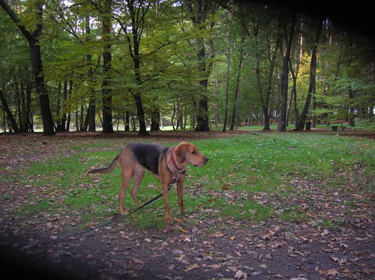 DSCN4738.JPG