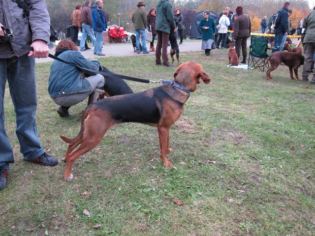 Minutka