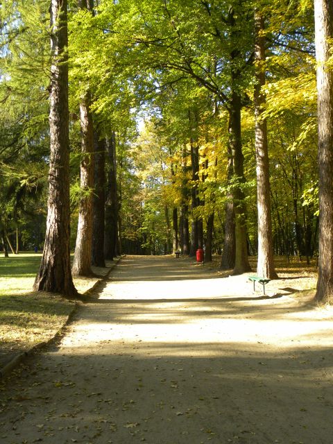 Obraz 039.jpg