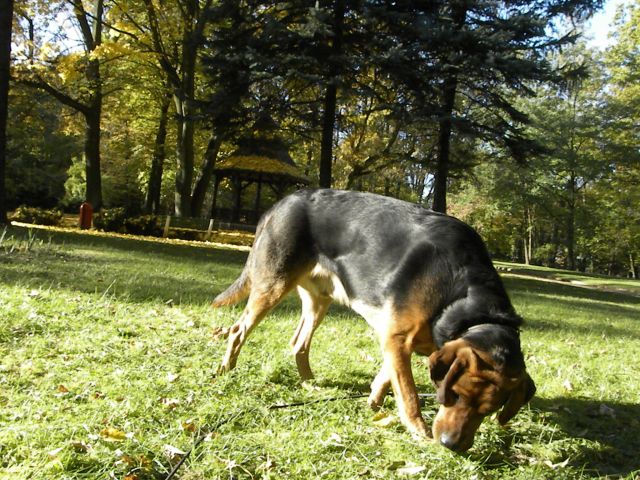 Obraz 014.jpg