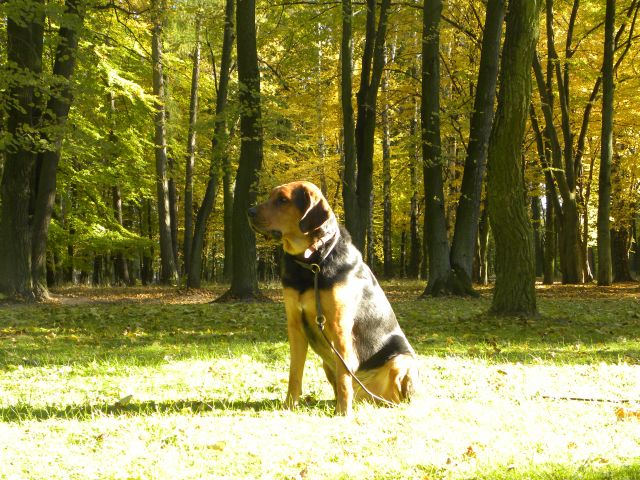 Obraz 020.jpg