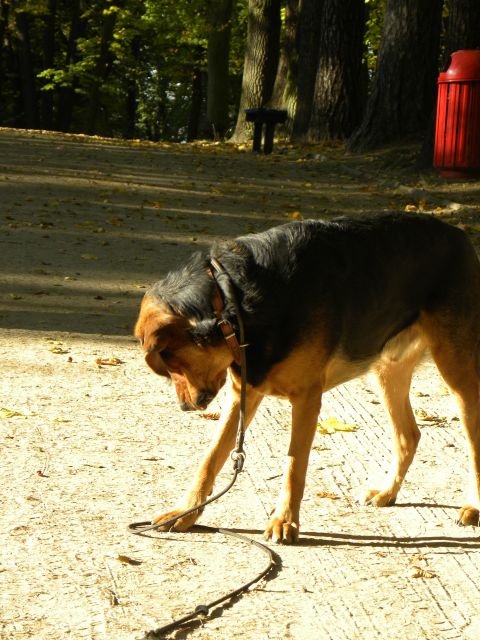 Obraz 040.jpg