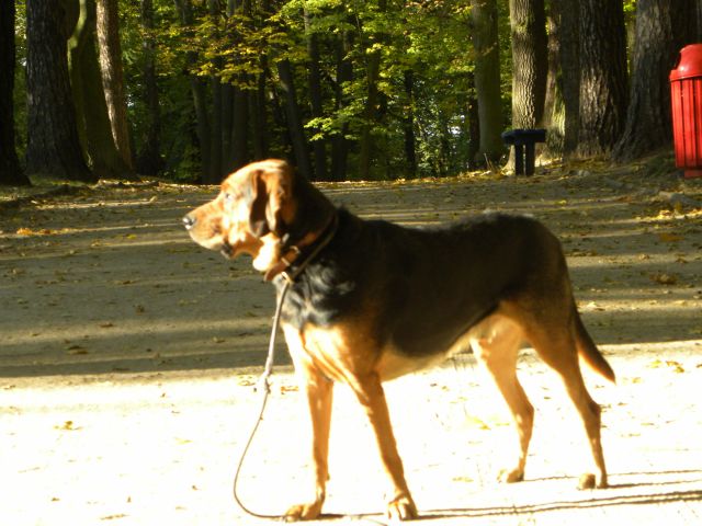 Obraz 042.jpg