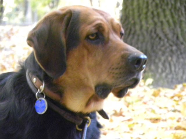 Obraz 062.jpg