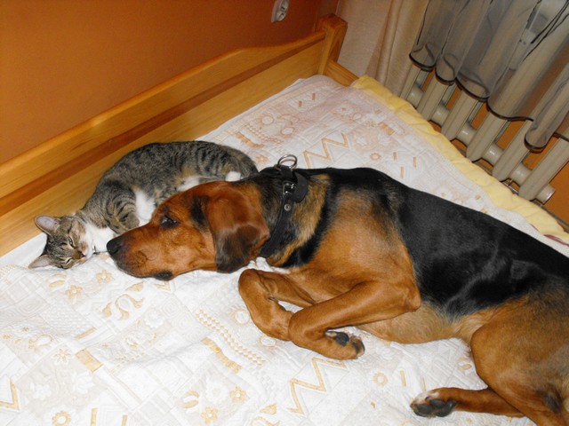 DSCF5373.JPG