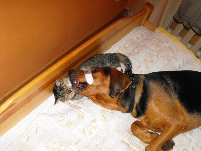 DSCF5374.JPG