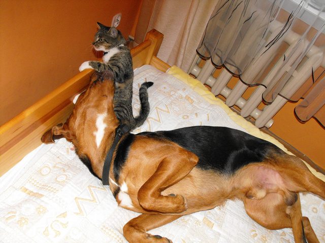 DSCF5376.JPG