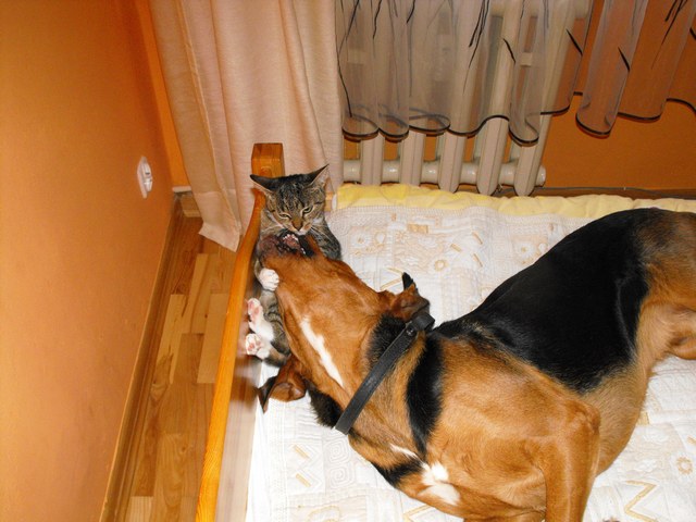 DSCF5377.JPG