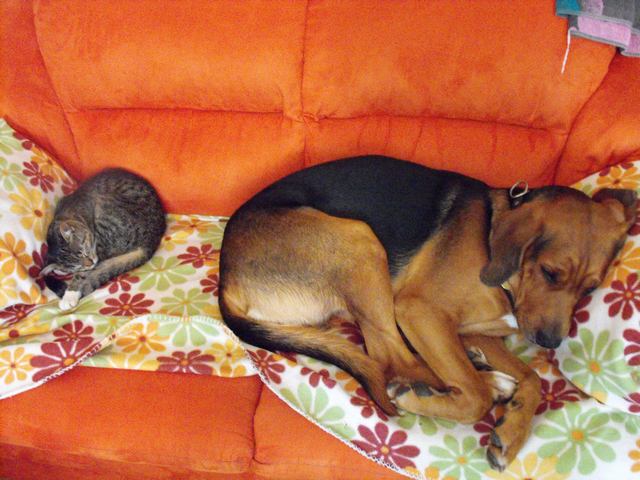 DSCF5381.JPG