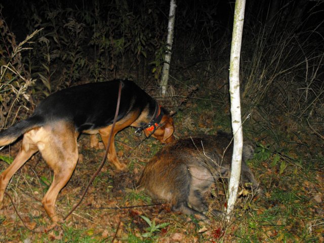 DSCF5387.JPG