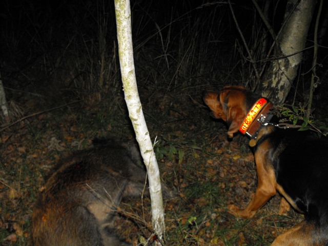 DSCF5388.JPG