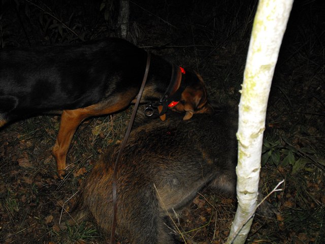 DSCF5392.JPG