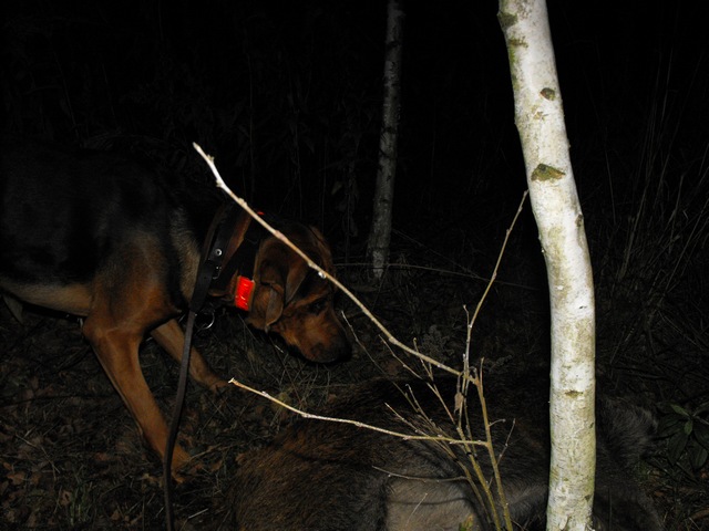 DSCF5395.JPG