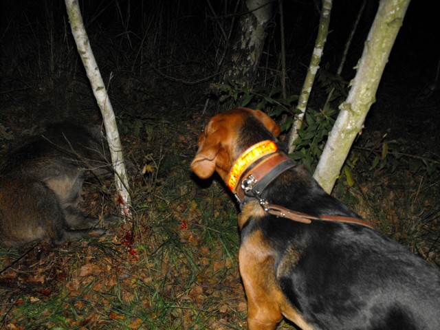 DSCF5386.JPG