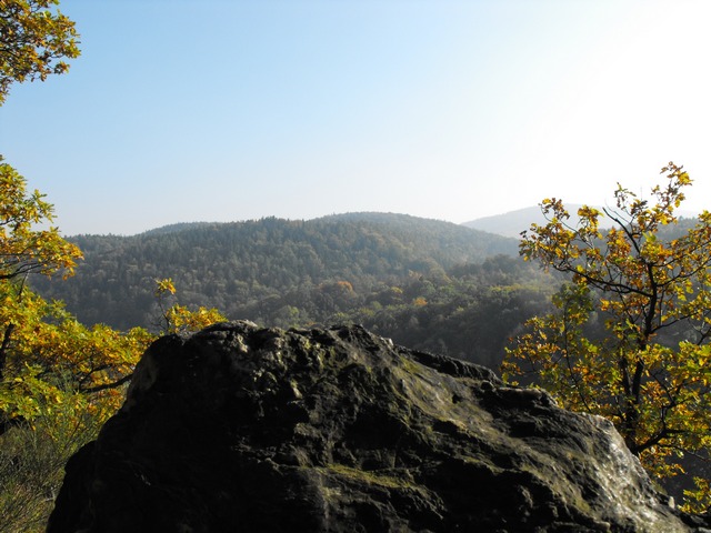 DSCF5175.JPG