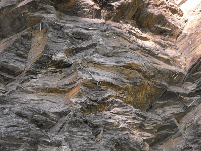 DSCF5185.JPG